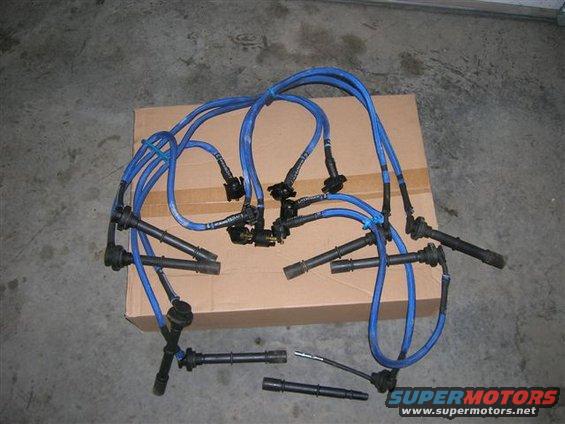 dscn3110.jpg Live Wires 1