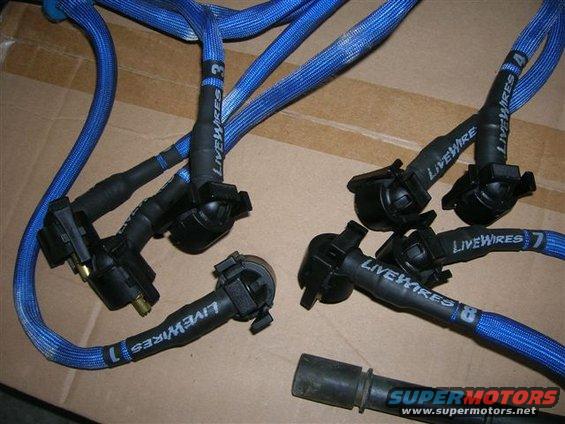 dscn3112.jpg Live Wires 2