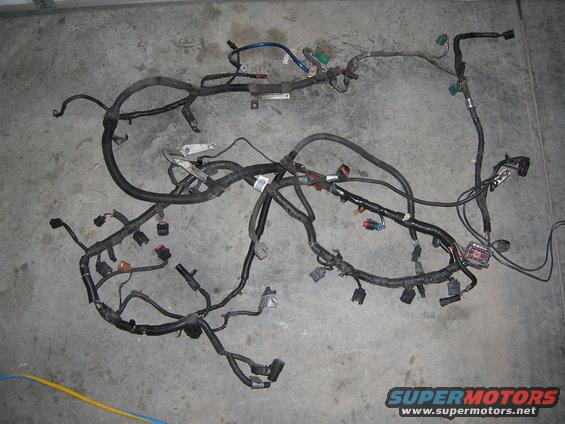 dscn3125.jpg Wire Harness