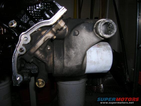 Oil Cooler