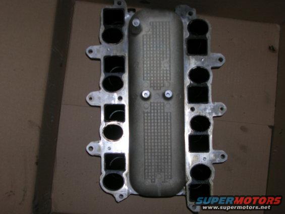 dscn3120.jpg Bottom Lower Intake