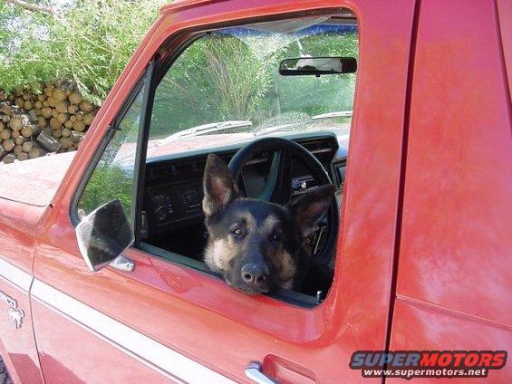 n1586072279_30171069_3603856.jpg 
Smokey loves adventure.  After he realized the Bronco was an off-roader, I couldn't keep him out of it.  I still can't.

