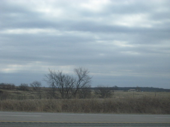 Overcast sky above a dry grassy field with bare trees and a distant building