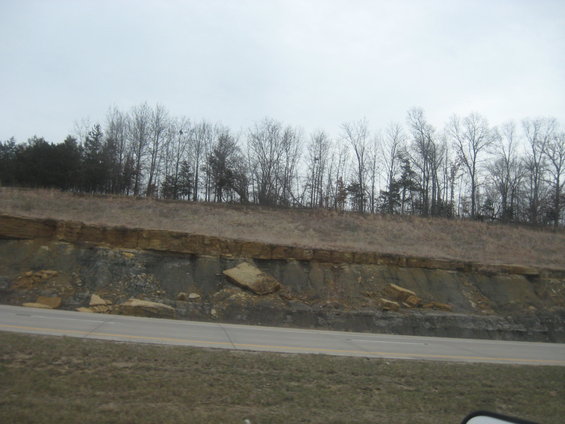 Roadside cliff with layered rock formations and bare trees under an overcast sky