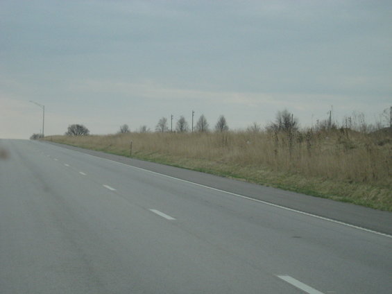 Highway roadside with dry grass, trees, and utility poles under an overcast sky
