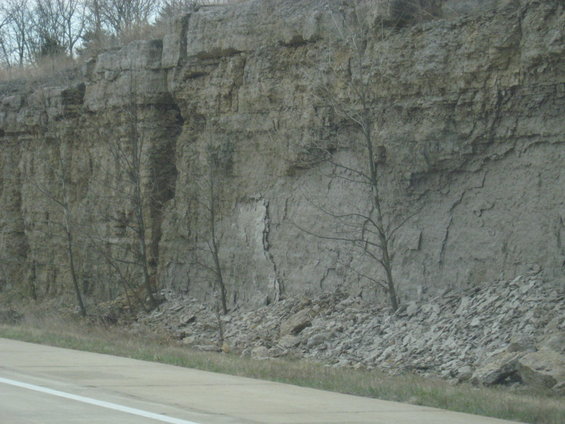 Rock cliff face with scattered debris and bare trees