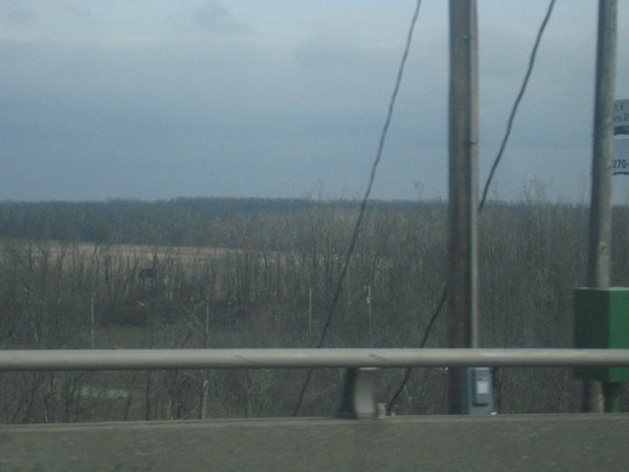 Overcast sky above a treeline and field with utility poles in the foreground