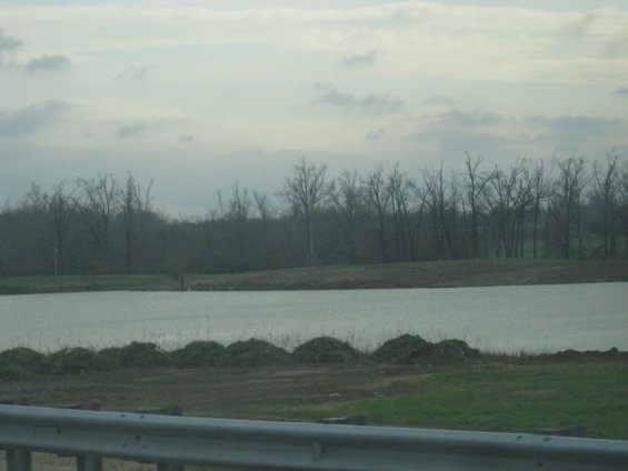 calm water with bare trees and cloudy sky in background