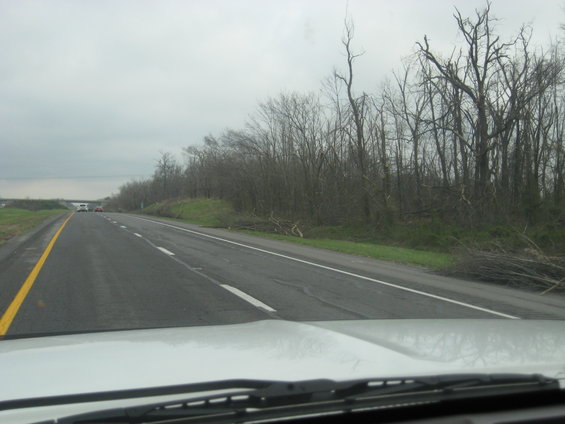 View from car on highway, trees and debris on side of road, overcast sky