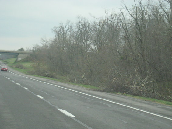Red car driving on a highway next to a wooded area