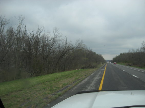 View from a vehicle dashboard looking out at a highway with trees and other cars on a cloudy day