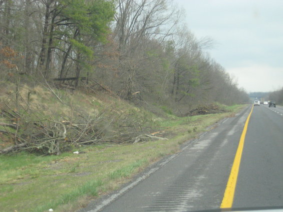 Highway shoulder with fallen trees and branches next to a wooded area. Cars are visible in the distance on the road