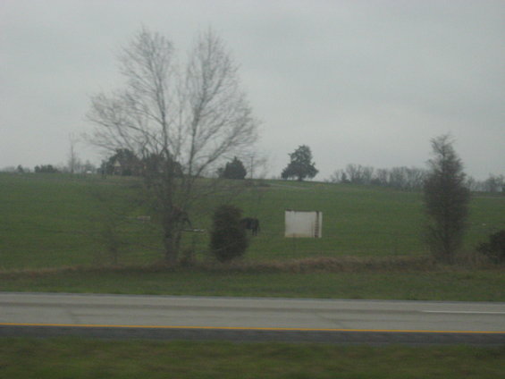 Dark vehicle on a grassy hill with a white structure nearby