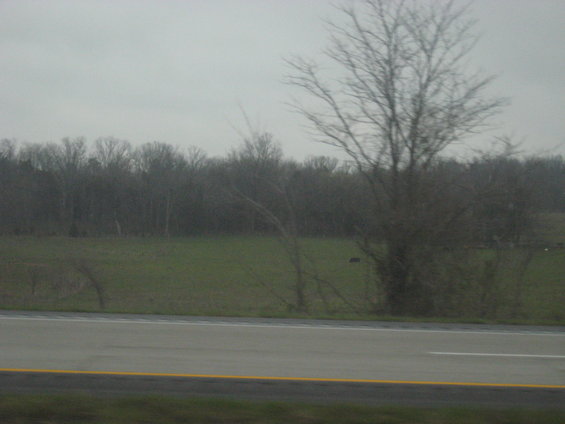 Overcast sky above a grassy field with trees and a road in the foreground