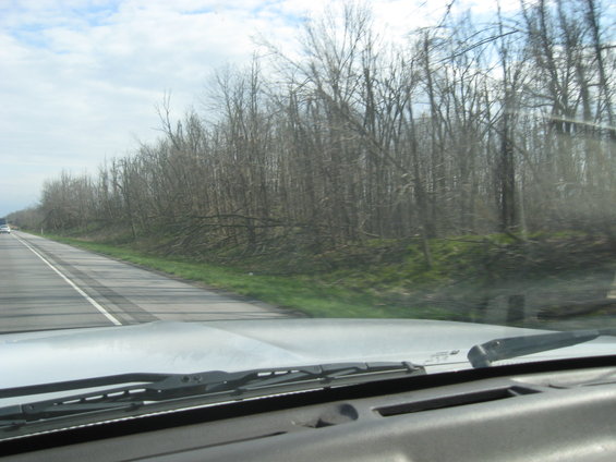 View from inside a vehicle looking out at a road and trees