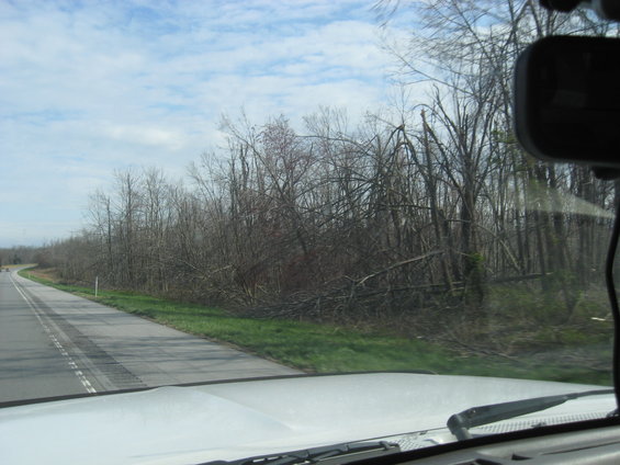 Interior view from a vehicle looking at a road and trees