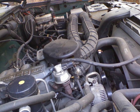 Engine bay with hoses, belts, and alternator visible