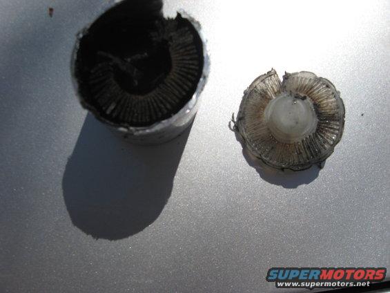 img_2362.jpg Inside of fuel filter.  Paper media with poly backing.