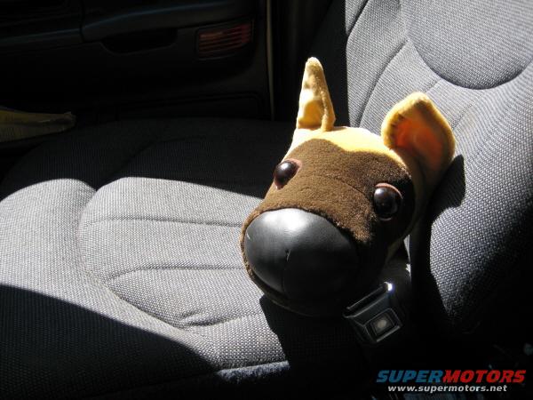 Stuffed dog toy buckled into a car seat