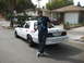 2001 Ford Crown Victoria photo