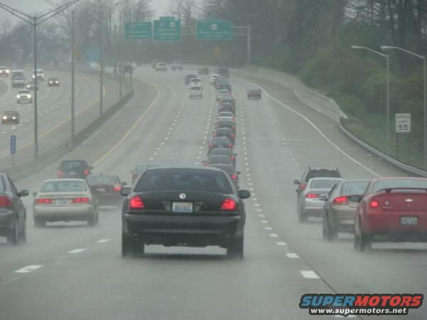 hack-watterson1.jpg Picture courtesy of MM.net member Hack Goby.

My '01 P71 leads the pack.