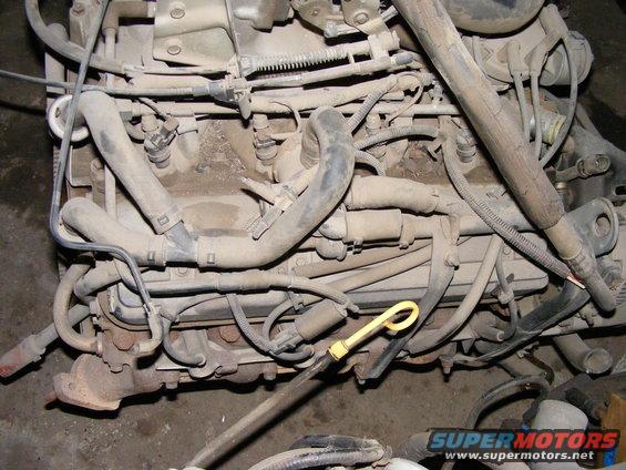 Engine bay with hoses, wires, and dipstick