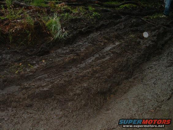 mmm-thick-mud.jpg nice thick mud