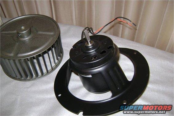 Fan Motor