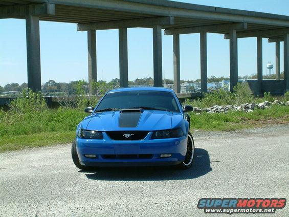 Trying to pracitce photography on most of these pics! 