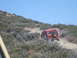 1986 Ford Bronco