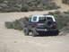 1986 Ford Bronco