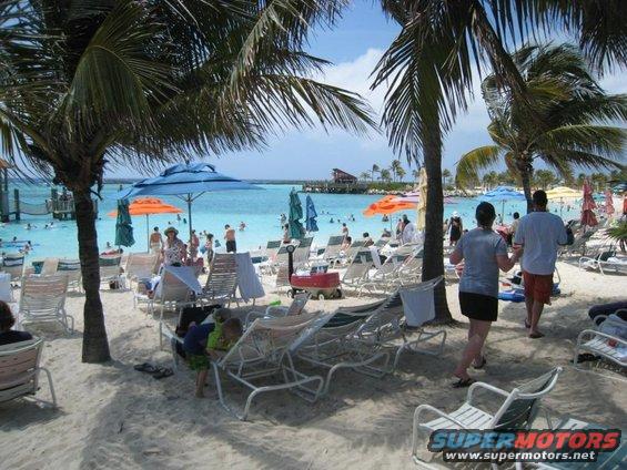Beach with lounge chairs, umbrellas, people swimming in the ocean, and palm trees