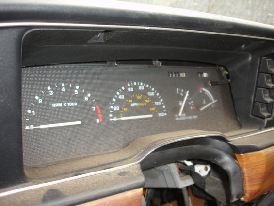dsc00824.jpg