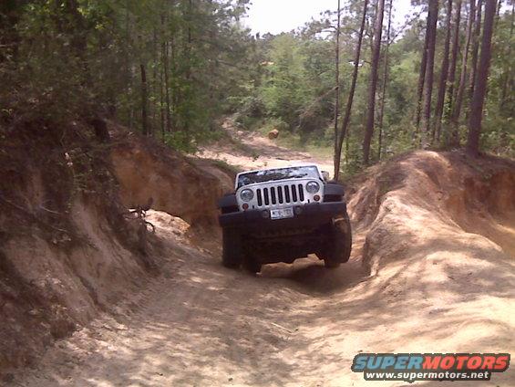 White Jeep Wrangler driving on a dirt trail through trees. License plate is visible