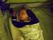 1997 Ford Probe - A baby sleeps soundly in a crib, swaddled in a patterned blanket.