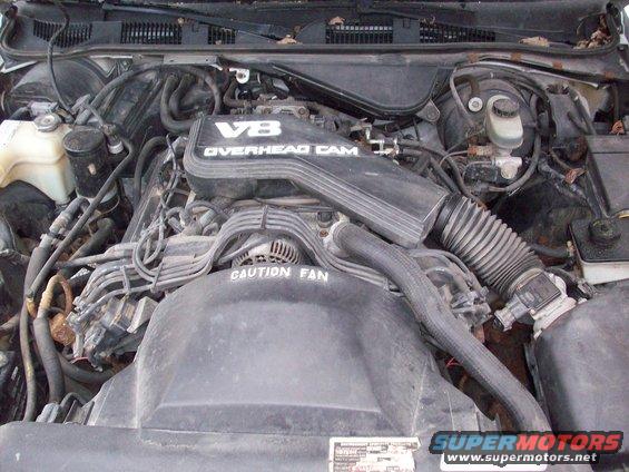 Engine bay with V8 Overhead Cam engine cover and CAUTION FAN text