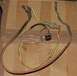 1985 Ford Crown Victoria LTD - Wiring harness with multiple connectors and eyelet terminals is laid out against a cardboard surface.