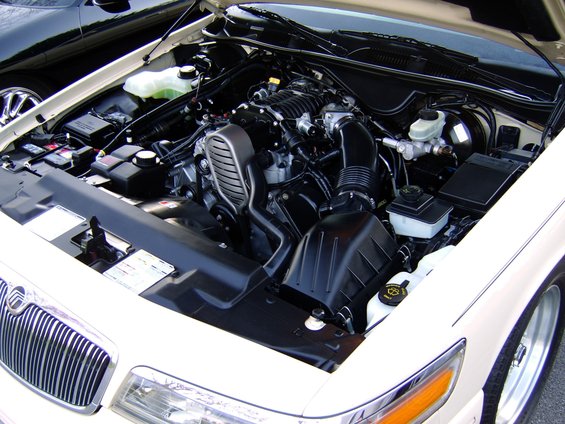 sta72432.jpg 