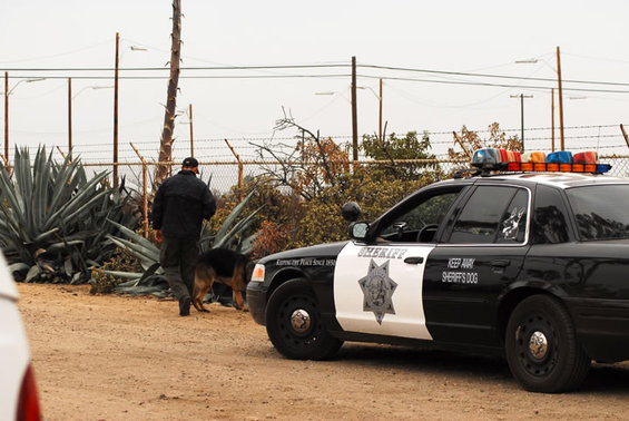 Sheriff's department patrol car, side view, with a man and a German Shepherd dog. Text on door reads 'KEEP AWAY SHERIFF'S DOG'