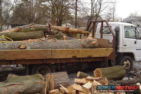 White flatbed truck with a load of cut logs, seen from the side