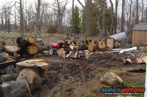 Red log splitter with trailer in a wooded area with cut logs