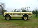 1975 International Scout II - A yellow 1975 International Scout II with wood paneling is parked on a grassy field under an overcast sky.