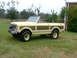 1975 International Scout II - 1975 International Scout II convertible with wood paneling in a grassy yard.