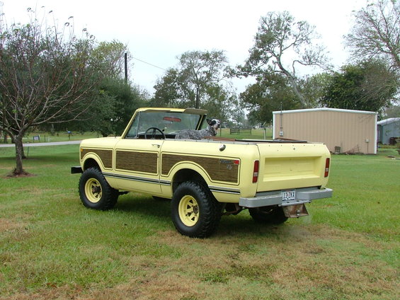 Yellow 1975 International Scout II convertible with wood paneling and a dog in the back seat