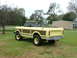 1975 International Scout II - This 1975 International Scout II convertible features distinctive wood paneling and a canine passenger enjoying the ride.