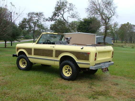 1975 International Scout II convertible, yellow with wood paneling, parked on grass with a dog in the passenger seat