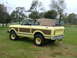 1975 International Scout II - A yellow 1975 International Scout II convertible with wood paneling sits in a grassy yard with a dog in the passenger seat.
