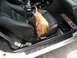 1995 Ford Probe