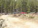1989 Ford Bronco - A group of SUVs, including a 1989 Ford Bronco, are parked on a dirt road surrounded by a dense forest.