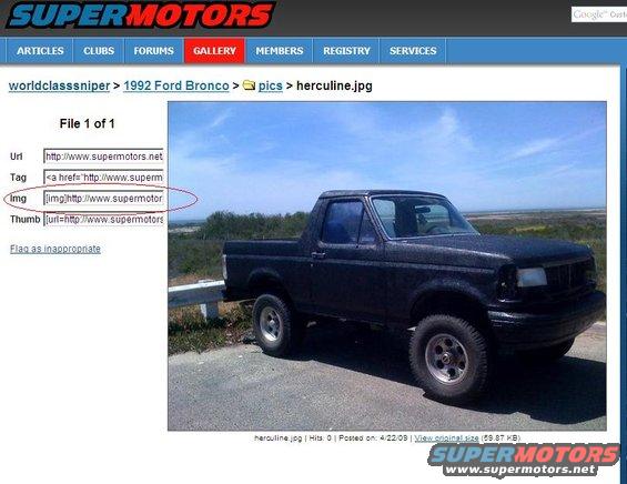 Black Ford Bronco parked on a roadside with a body of water in the background